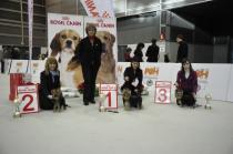 Podium Clase Cachorros Machos:Hechizo MB 2º.