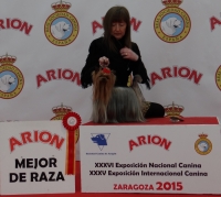 MINATERRA: ZARAGOZA NATIONAL DOG SHOW " ARAGON WINNER" 2015.